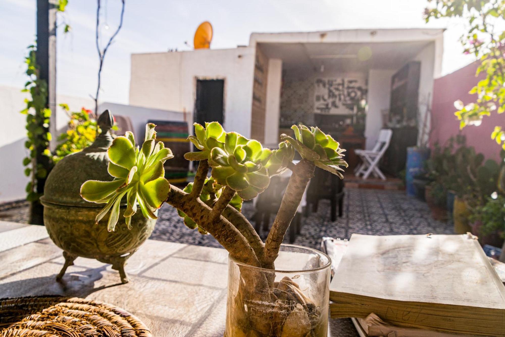 Hostel Youth & Social Travel