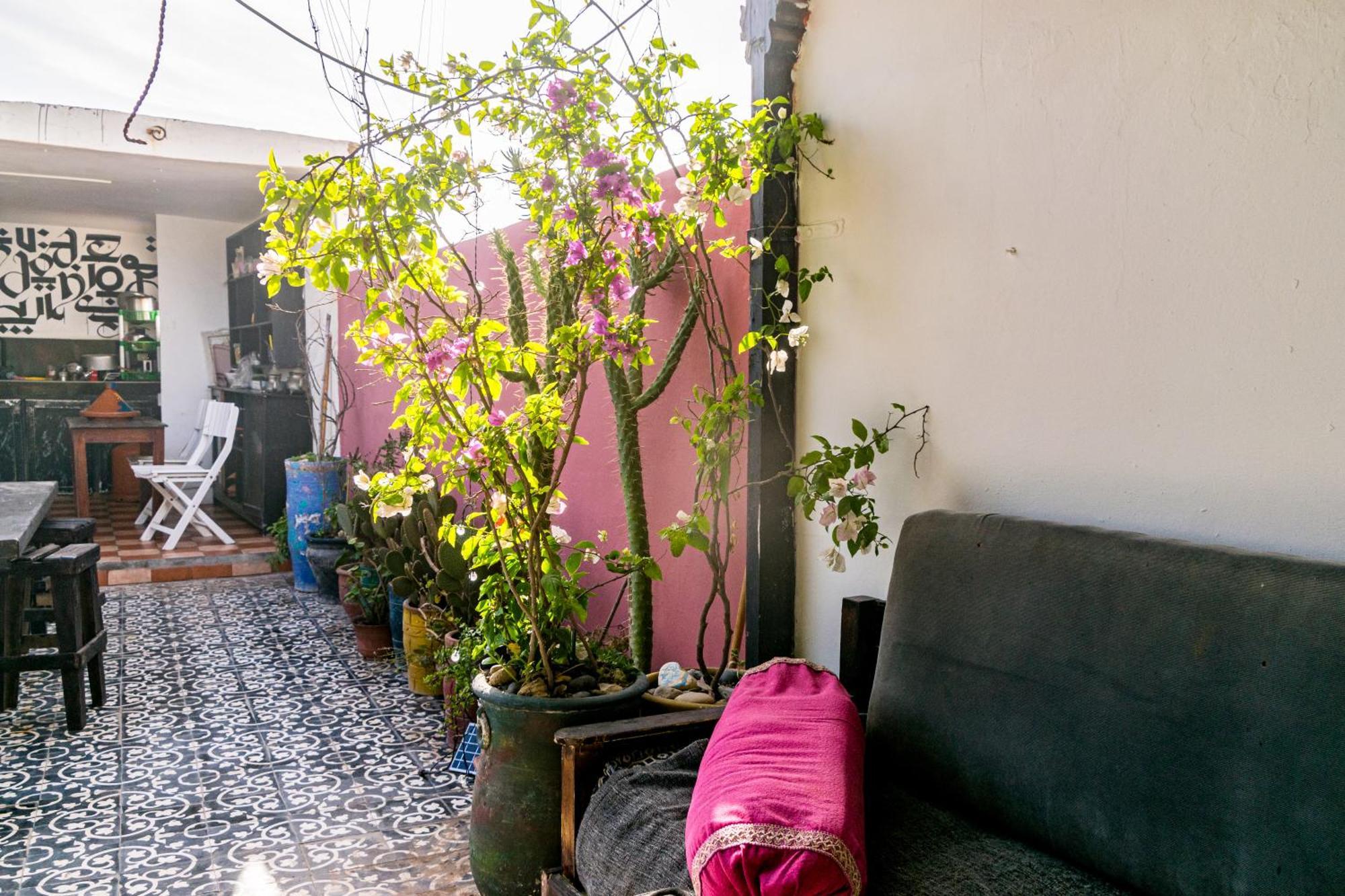 Youth & Social Travel Hostel Essaouira