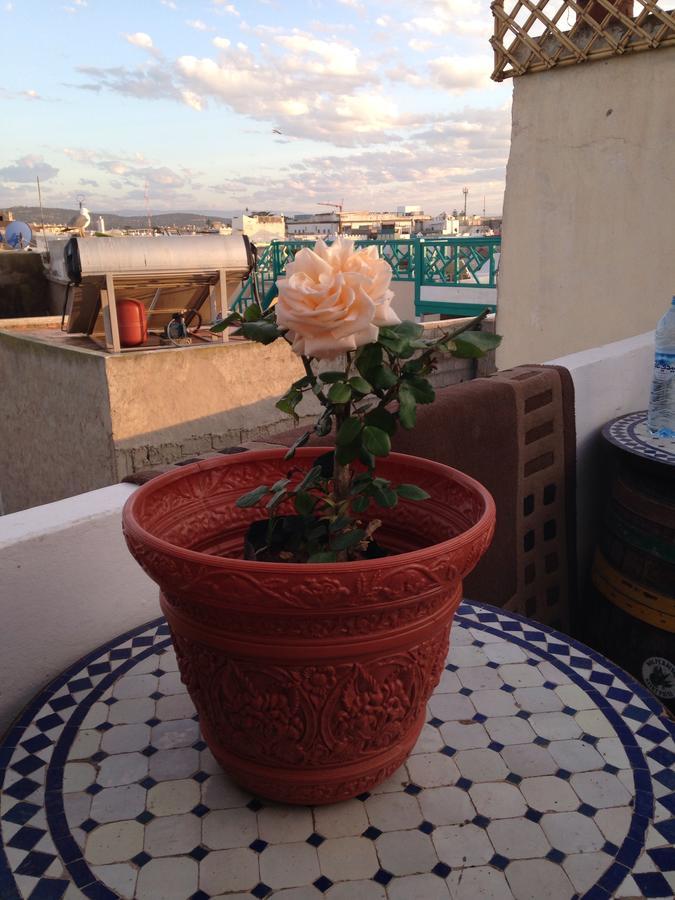 Hostal Youth & Social Travel *